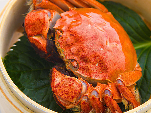 大閘蟹